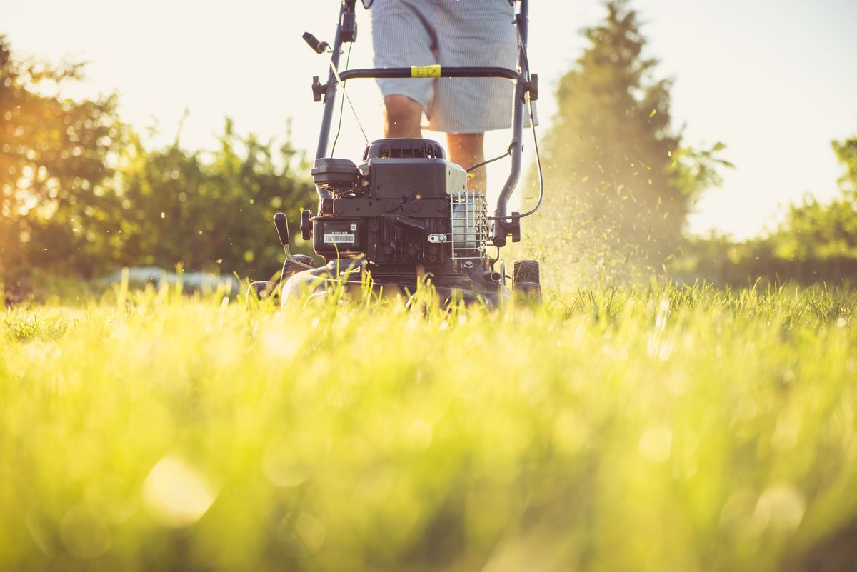 A person mowing green grass with a lawn mower, for illustration